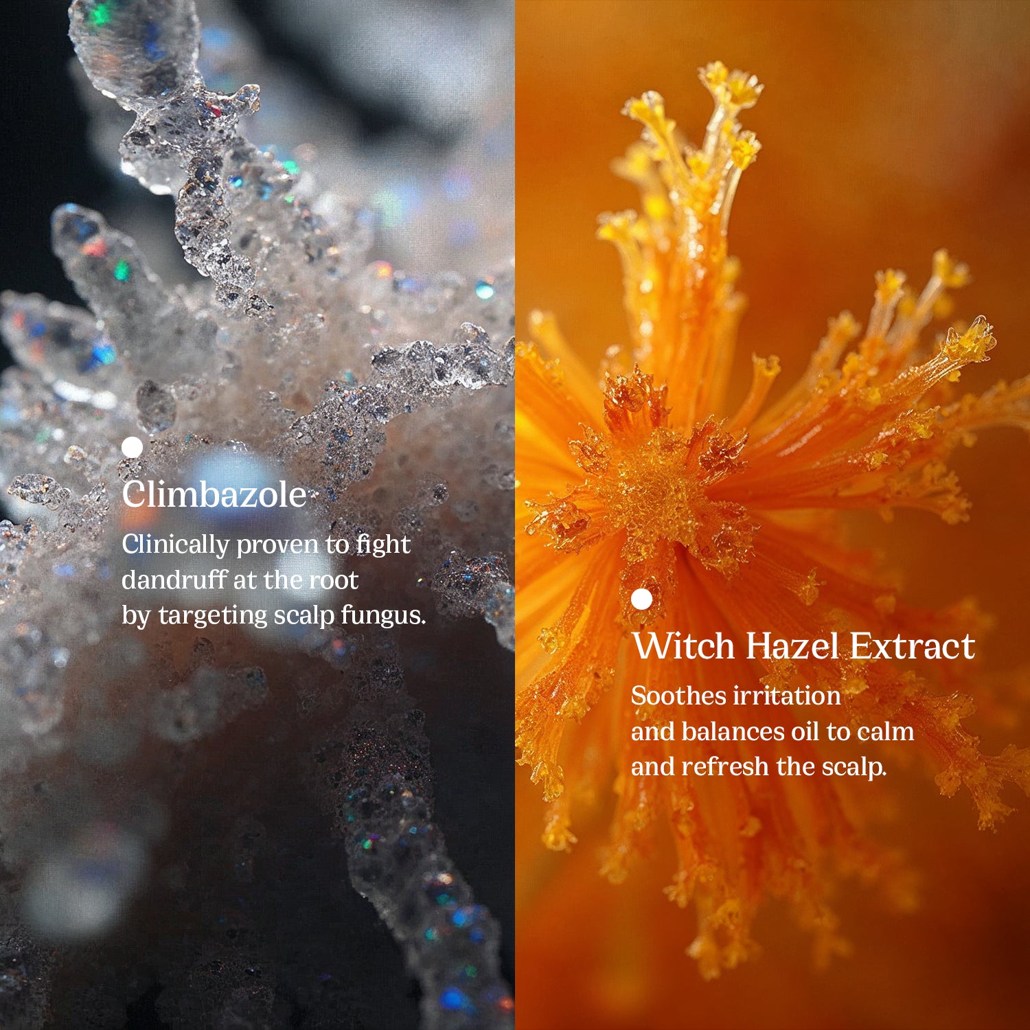 Dandruff Dismisser & Hair Fall Shampoo - Peace Skinvestment