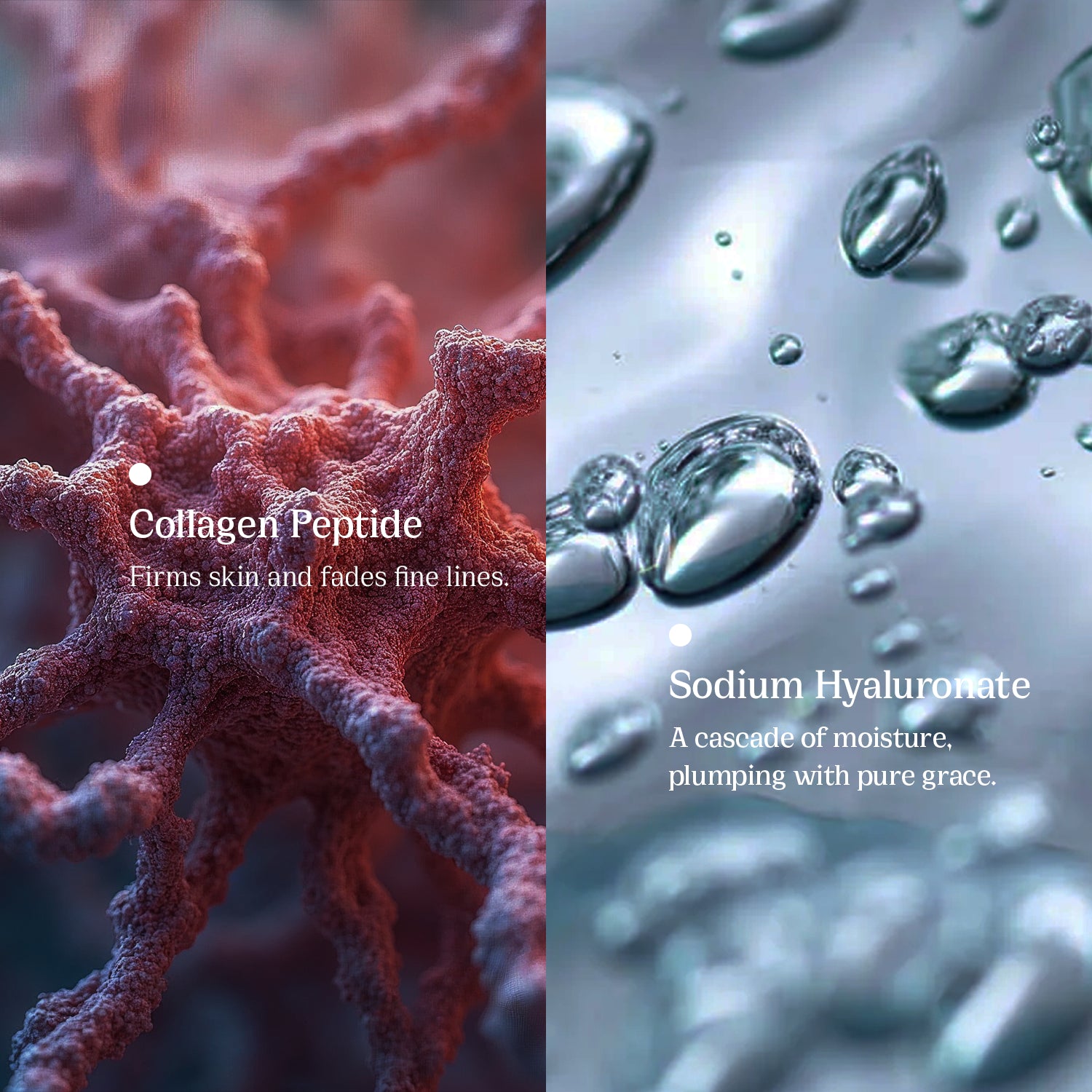 Mystic Dew Anti Aging Face Wash - Peace Skinvestment