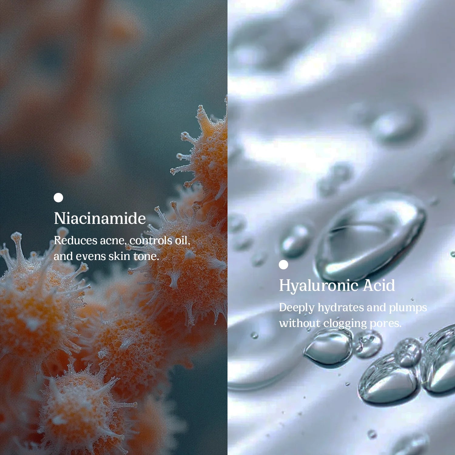 Nature's Nest- Anti Acne Skin Serum - Peace Skinvestment