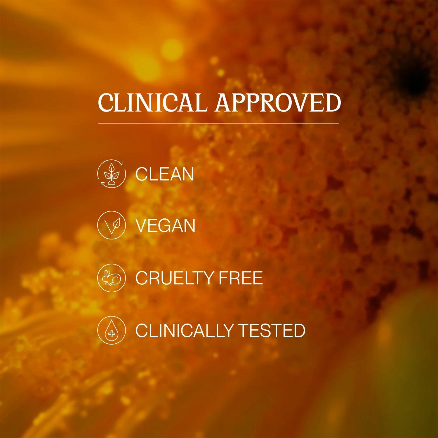 Nature's Nest- Anti Acne Skin Serum - Peace Skinvestment