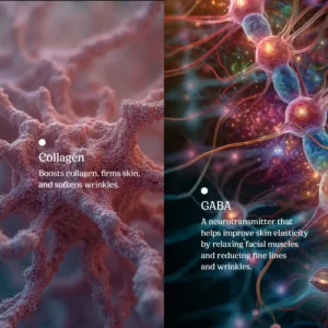 Stop the Clock Beauty- Anti Aging Skin Serum - Peace Skinvestment