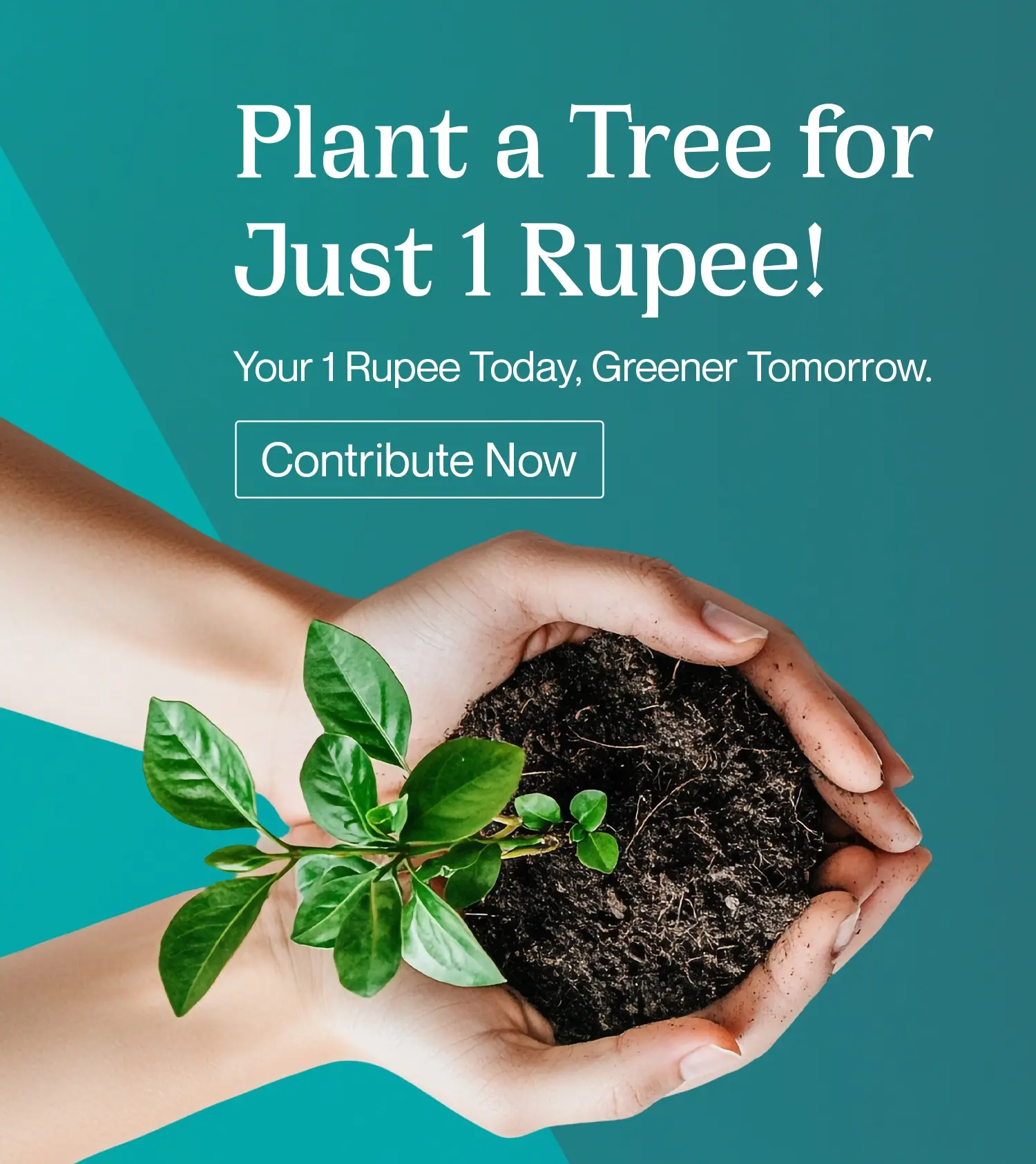 Plant Mobile